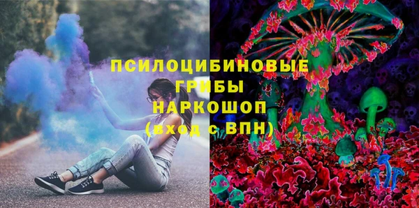 хмурый Елизово