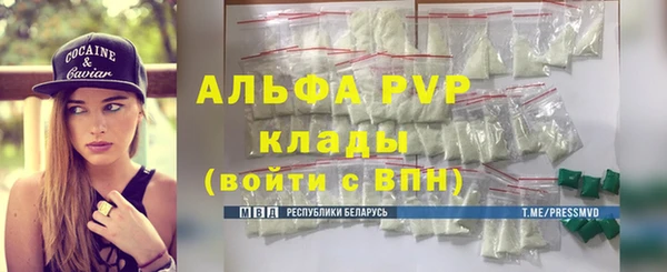 ПСИЛОЦИБИНОВЫЕ ГРИБЫ Ельня