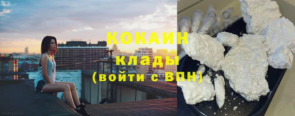 хмурый Елизово