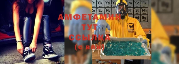 ПСИЛОЦИБИНОВЫЕ ГРИБЫ Ельня