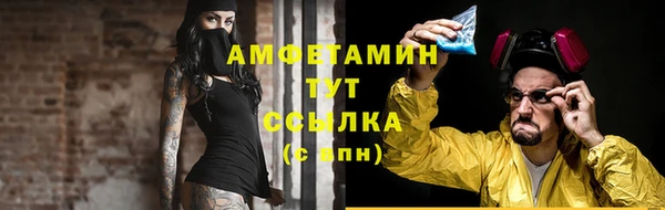 ПСИЛОЦИБИНОВЫЕ ГРИБЫ Ельня