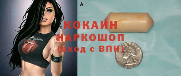 хмурый Елизово