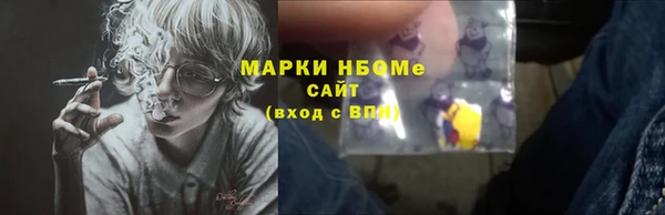 хмурый Елизово
