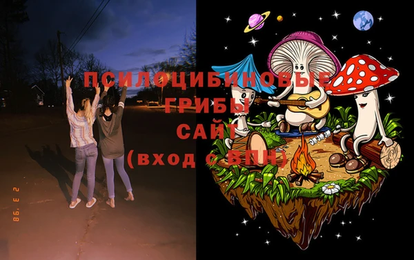 хмурый Елизово