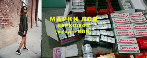 ПСИЛОЦИБИНОВЫЕ ГРИБЫ Ельня