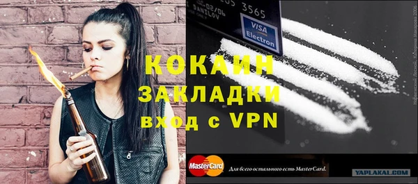 ПСИЛОЦИБИНОВЫЕ ГРИБЫ Ельня