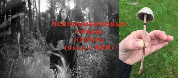 кристаллы Заволжск
