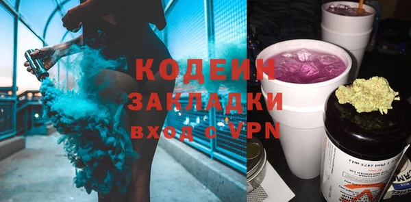 ПСИЛОЦИБИНОВЫЕ ГРИБЫ Ельня