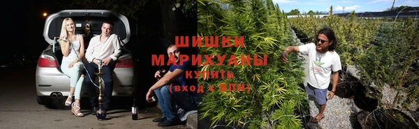 хмурый Елизово