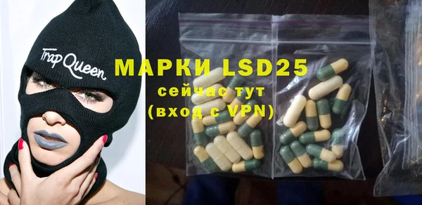 ПСИЛОЦИБИНОВЫЕ ГРИБЫ Ельня