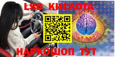 jwh Лесной