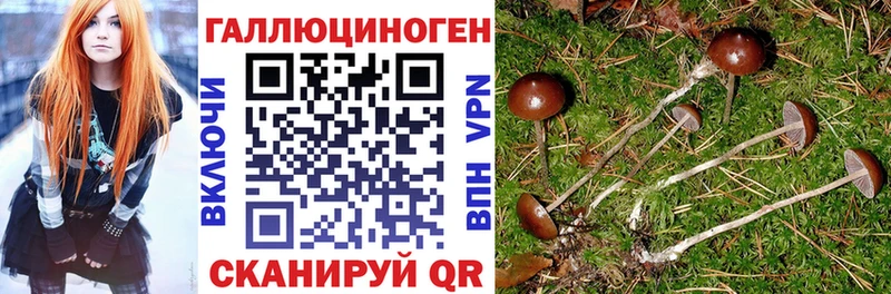 Купить закладки  Заречный  Псилоцибиновые грибы прущие грибы 