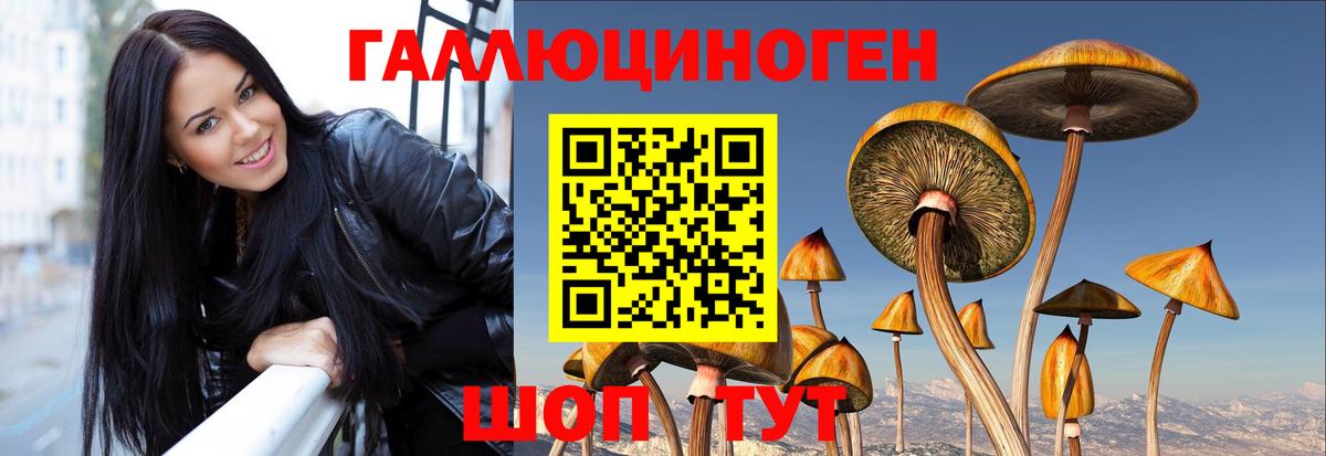 Псилоцибиновые грибы мицелий  Псилоцибиновые грибы прущие грибы  купить наркотики сайты  Заречный 