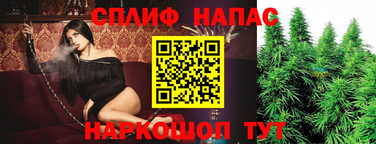 Каннабис сатива Заречный